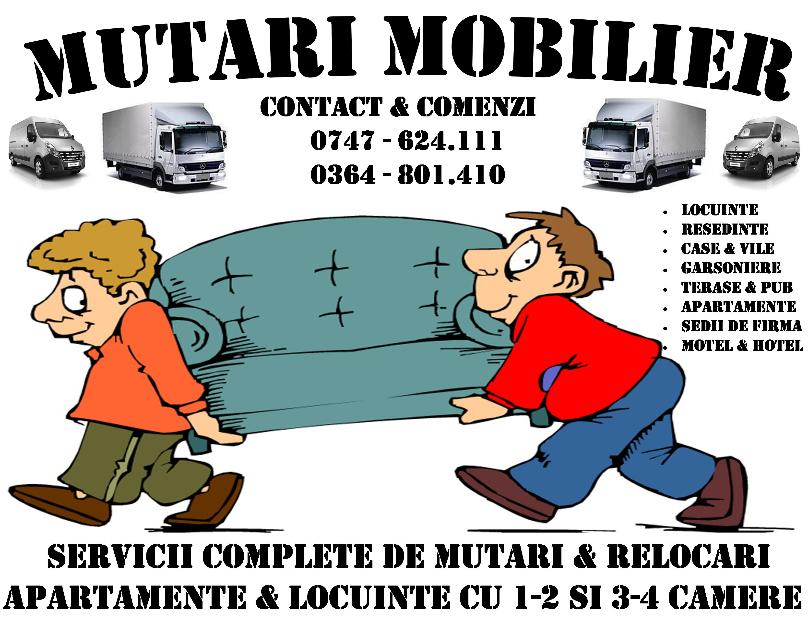 Mutari complete - transport divers - Pret | Preturi Mutari complete - transport divers