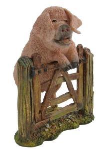 Pig at a Gate - Pret | Preturi Pig at a Gate