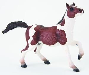 Armasar Paint horse - Pret | Preturi Armasar Paint horse