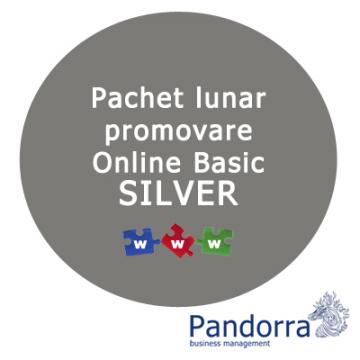 Pachet promovare Online Silver - Pret | Preturi Pachet promovare Online Silver
