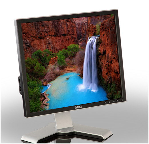 Monitor Dell 19