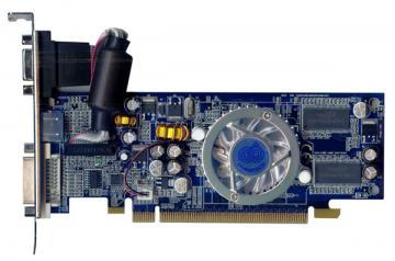 GeForce FX6500-SV6500T2-128H (400MHz), PCI-E, 128MB DDR (500Mhz, 64bit), TV ,DVI, CHAINTECH - Pret | Preturi GeForce FX6500-SV6500T2-128H (400MHz), PCI-E, 128MB DDR (500Mhz, 64bit), TV ,DVI, CHAINTECH