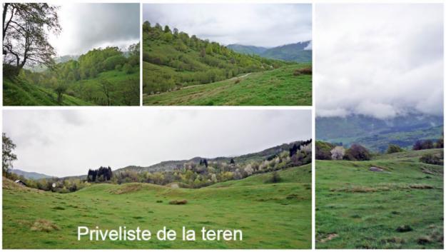 Urgent teren 1000 mp la munte in Nucsoara - Pret | Preturi Urgent teren 1000 mp la munte in Nucsoara
