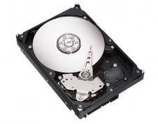 Hard Disk Seagate 250GB SATA2, 7200rpm, 8MB, ST3250318AS - Pret | Preturi Hard Disk Seagate 250GB SATA2, 7200rpm, 8MB, ST3250318AS
