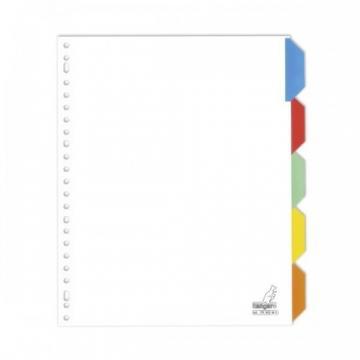 Separatoare carton alb cu margine color, A4, 5 culori/set, KANGARO - Pret | Preturi Separatoare carton alb cu margine color, A4, 5 culori/set, KANGARO