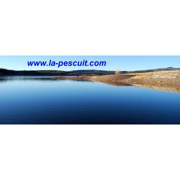 Servicii informatii, Site pentru pescari la-pescuit.com - Pret | Preturi Servicii informatii, Site pentru pescari la-pescuit.com