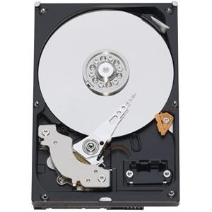 320GB SATA3 7200RPM 16MB Caviar Blue KX - Pret | Preturi 320GB SATA3 7200RPM 16MB Caviar Blue KX