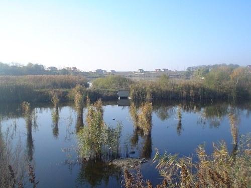 Vanzare teren, Lac-Balotesti ,2457mp - Pret | Preturi Vanzare teren, Lac-Balotesti ,2457mp