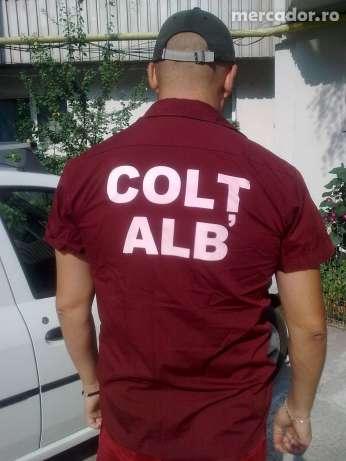 COLT ALB security GOLD - Pret | Preturi COLT ALB security GOLD