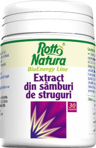 Extract din Samburi de Struguri *30cps - Pret | Preturi Extract din Samburi de Struguri *30cps