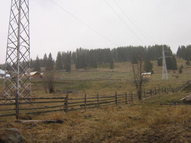 vand teren in zona montana a Bucovinei - Pret | Preturi vand teren in zona montana a Bucovinei