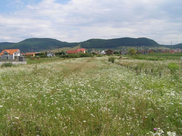 Teren intravilan, Valea Rusului - Pret | Preturi Teren intravilan, Valea Rusului