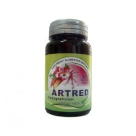 Artred - tablete de Harpagophytum - Pret | Preturi Artred - tablete de Harpagophytum