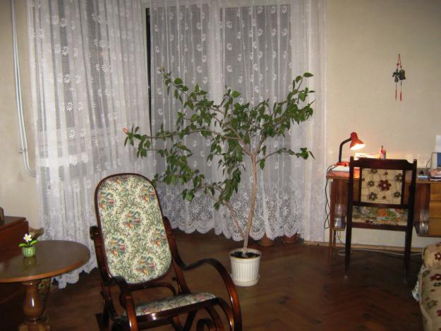 Vanzare apartament 3 camere in vila, zona Dorobanti Capitale - Piata Victoriei - Pret | Preturi Vanzare apartament 3 camere in vila, zona Dorobanti Capitale - Piata Victoriei