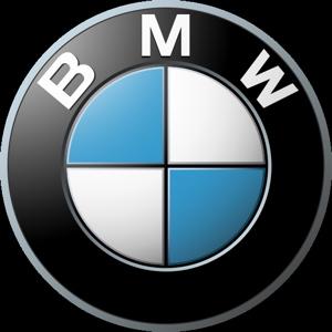 OGLINZI BMW X1 BMW X3 BMW X5 BMW X6 - Pret | Preturi OGLINZI BMW X1 BMW X3 BMW X5 BMW X6