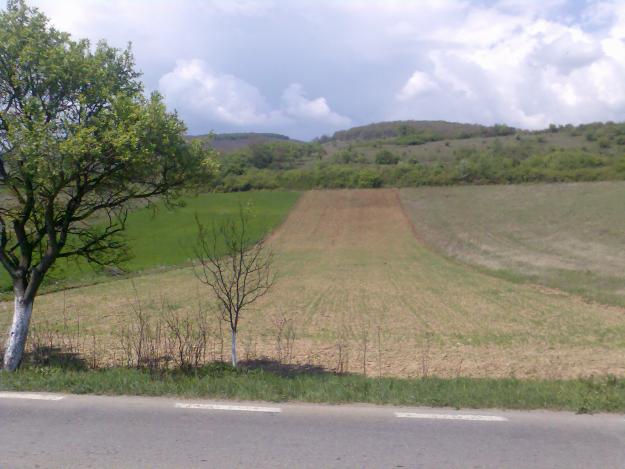 VAND TEREN IN RAPOLTU-MARE jud. HUNEDOARA - Pret | Preturi VAND TEREN IN RAPOLTU-MARE jud. HUNEDOARA