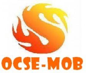 OCSE-MOB TIMISOARA/ MOBILIER LA COMANDA - Pret | Preturi OCSE-MOB TIMISOARA/ MOBILIER LA COMANDA