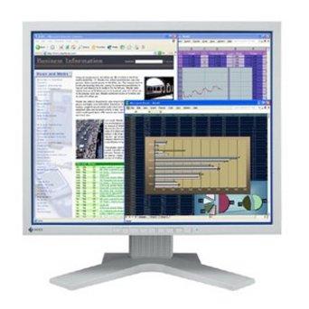Eizo FlexScan L768 19
