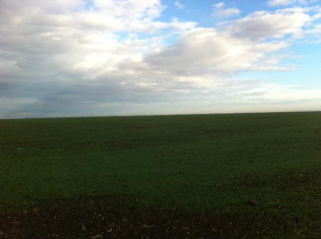 vanzare teren agricol in Teleorman - Pret | Preturi vanzare teren agricol in Teleorman