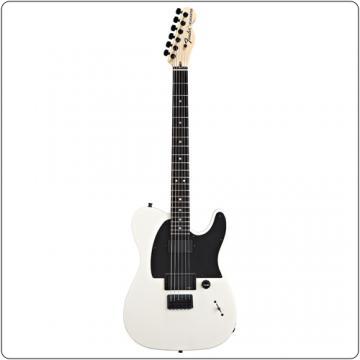 Fender Jim Root Telecaster - Pret | Preturi Fender Jim Root Telecaster