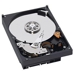 Hard Disk Western Digital Caviar RE 400 GB Serial ATA2 7200 rpm - Pret | Preturi Hard Disk Western Digital Caviar RE 400 GB Serial ATA2 7200 rpm