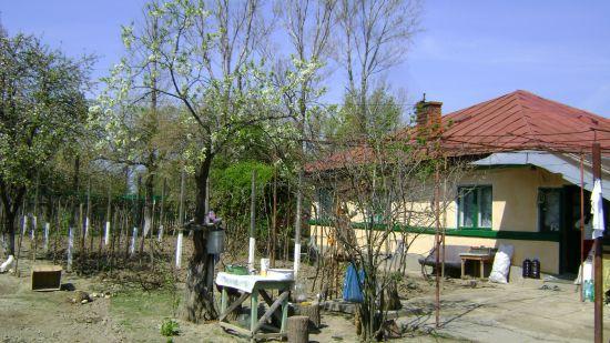 Casa cu gradina - Pret | Preturi Casa cu gradina