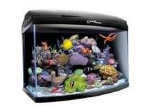 Acvariu Aquael Reefmax 60 - Pret | Preturi Acvariu Aquael Reefmax 60