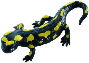 Bullyland - Salamandra Patata - 11 cm - Pret | Preturi Bullyland - Salamandra Patata - 11 cm