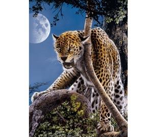 Puzzle fluorescent Clementoni 1000 Ghepard - Pret | Preturi Puzzle fluorescent Clementoni 1000 Ghepard