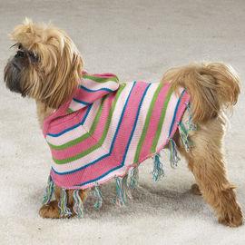 PONCHO SWEATER Chihuahua, Bichon, Maltese, Terrier, Pincher - Pret | Preturi PONCHO SWEATER Chihuahua, Bichon, Maltese, Terrier, Pincher