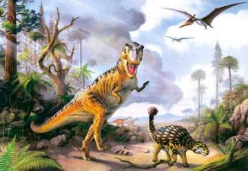 Puzzle Castorland 500 Tyrranosaurus Rex - Pret | Preturi Puzzle Castorland 500 Tyrranosaurus Rex