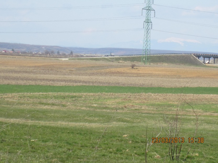 Vand 22000 mp teren la A 1 Pitesti-Bucuresti, 59 m deschidere - Pret | Preturi Vand 22000 mp teren la A 1 Pitesti-Bucuresti, 59 m deschidere