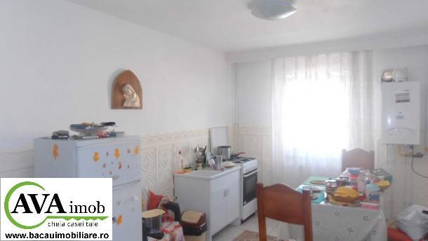 Vand apartament cu 2 camere in cartierul Bistrita Lac, cu multiple imbunatatiri - Pret | Preturi Vand apartament cu 2 camere in cartierul Bistrita Lac, cu multiple imbunatatiri