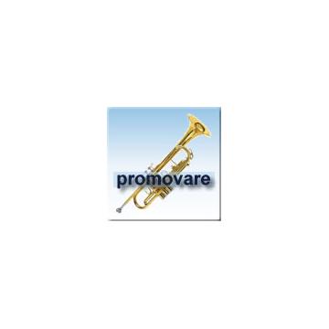 Promovare on line - Pret | Preturi Promovare on line