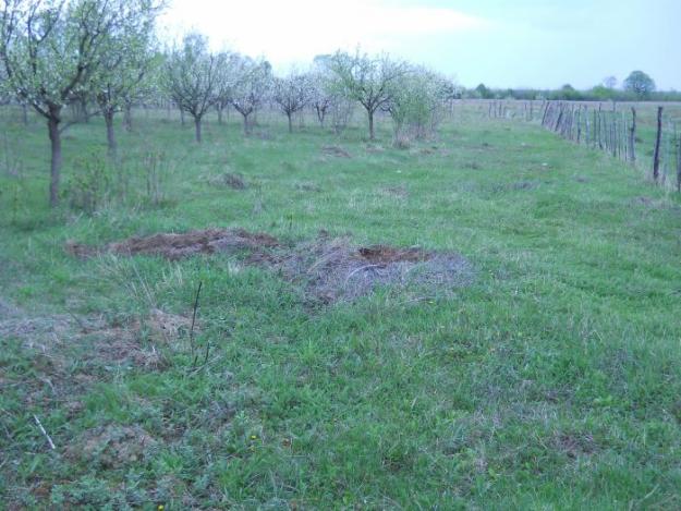 Teren de vanzare in Mislea - Pret | Preturi Teren de vanzare in Mislea