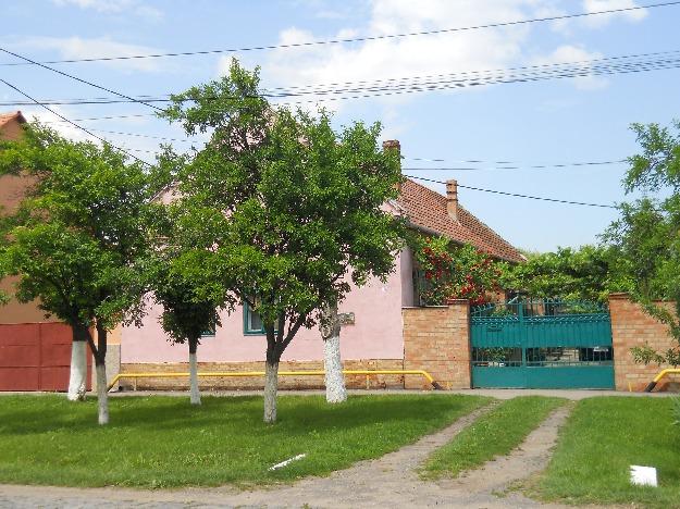 Casa de vanzare in Jimbolia - Pret | Preturi Casa de vanzare in Jimbolia