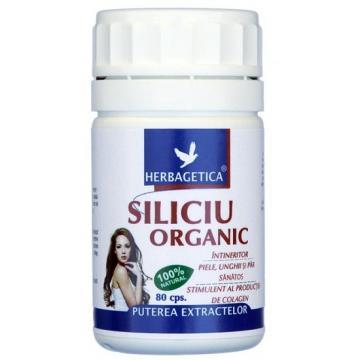 Siliciu Organic *80cps - Pret | Preturi Siliciu Organic *80cps