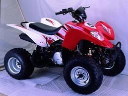 Vand ATV (nou din magazin) model: LF250ST-5 - Pret | Preturi Vand ATV (nou din magazin) model: LF250ST-5