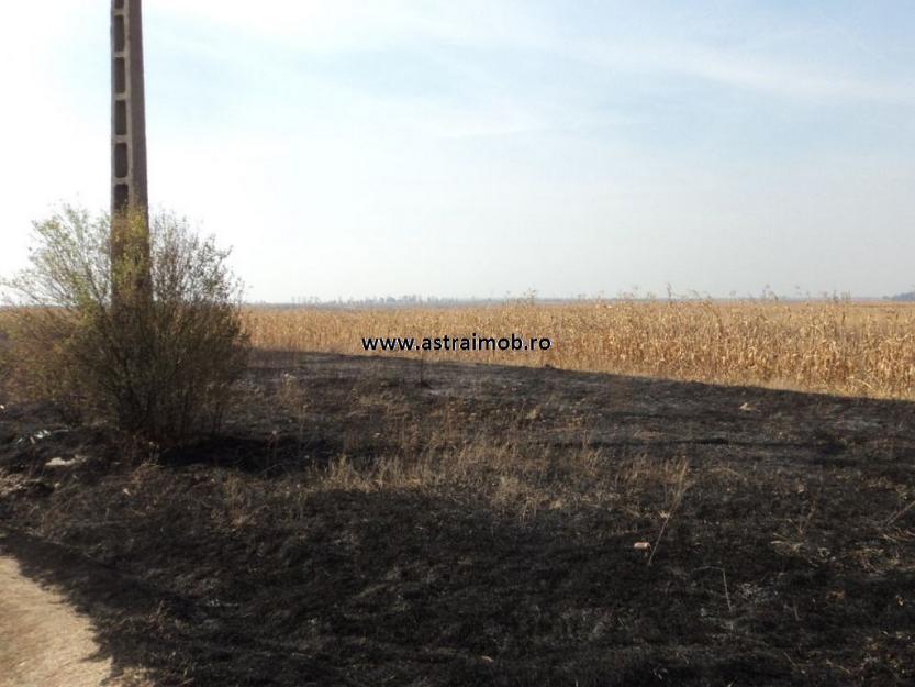 Teren intravilan 600 mp de vanzare in Ilfoveni langa DN 71 - Pret | Preturi Teren intravilan 600 mp de vanzare in Ilfoveni langa DN 71