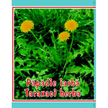 Ceai papadie iarba 0,50 g/cutie - Pret | Preturi Ceai papadie iarba 0,50 g/cutie