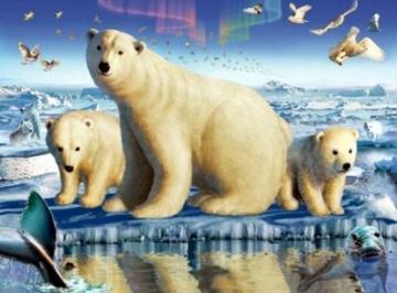 Puzzle Clementoni Ursi polari (1000 piese) - Pret | Preturi Puzzle Clementoni Ursi polari (1000 piese)