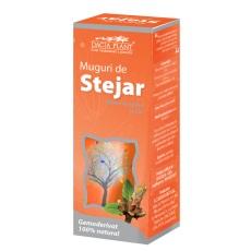 Gemoderivat Muguri de Stejar 50ml - Pret | Preturi Gemoderivat Muguri de Stejar 50ml