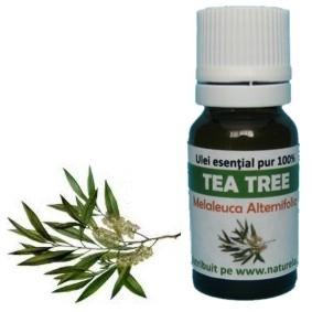 Ulei Esential Tea Tree 10ml - Pret | Preturi Ulei Esential Tea Tree 10ml