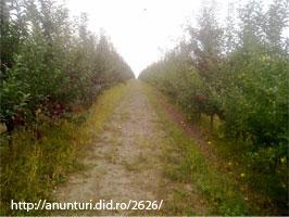 Vand teren agricol 200 ha in Republica MOLDOVA - Pret | Preturi Vand teren agricol 200 ha in Republica MOLDOVA