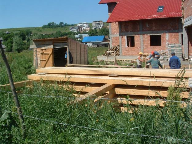 vând popi uscaţi de 2 ani - Pret | Preturi vând popi uscaţi de 2 ani