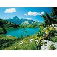 Puzzle Ravensburger 1000 Bavaria - Lacul Alp - Pret | Preturi Puzzle Ravensburger 1000 Bavaria - Lacul Alp