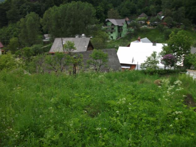 vind teren in orasul cavnic aprox 5 km de pirtia de schii - Pret | Preturi vind teren in orasul cavnic aprox 5 km de pirtia de schii