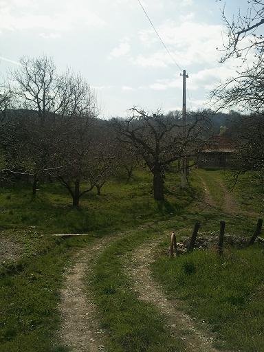 vand livada de meri si casa - Pret | Preturi vand livada de meri si casa