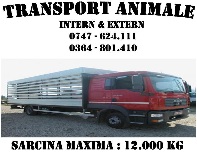 Transport animale & marfa - Pret | Preturi Transport animale & marfa