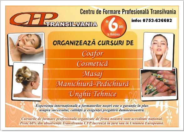 Organizam cursuri coafor, cosmetica si machiaj - Pret | Preturi Organizam cursuri coafor, cosmetica si machiaj